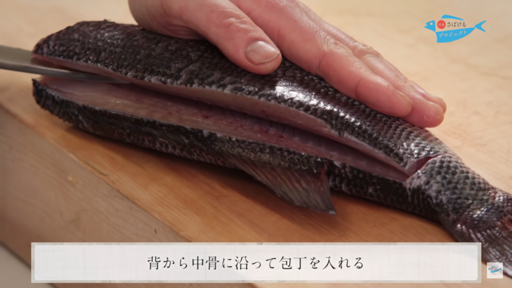 ブラックバスのさばき方 How To Filet Black Bass 日本さばけるプロジェクト 日本さばけるプロジェクト