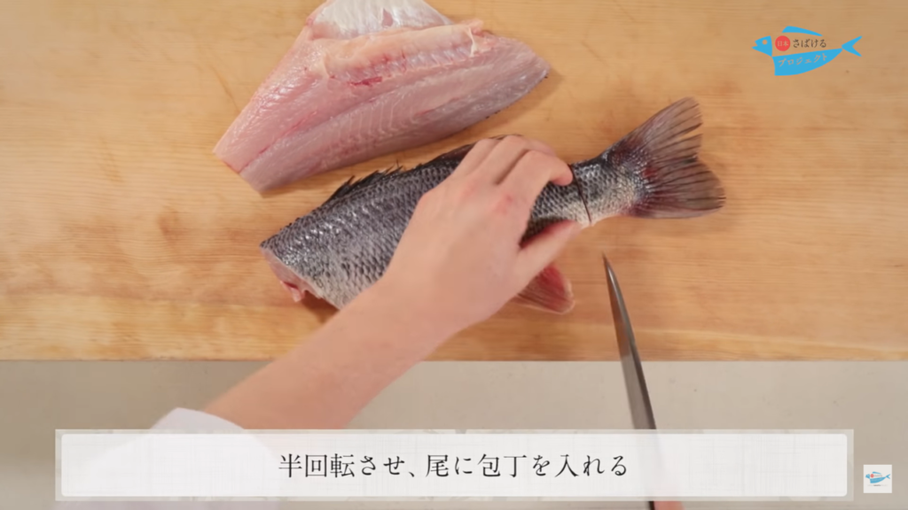 ブラックバスのさばき方 How To Filet Black Bass 日本さばけるプロジェクト 日本さばけるプロジェクト