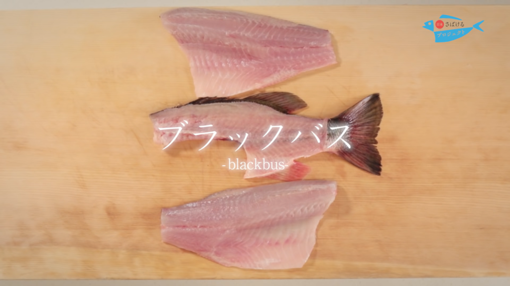 ブラックバスのさばき方 How To Filet Black Bass 日本さばけるプロジェクト 日本さばけるプロジェクト