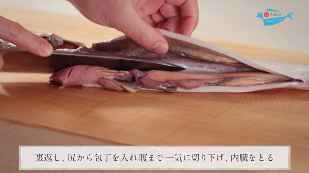 太刀魚 たちうお のさばき方 How To Filet Cutlassfish 日本さばけるプロジェクト 日本さばけるプロジェクト
