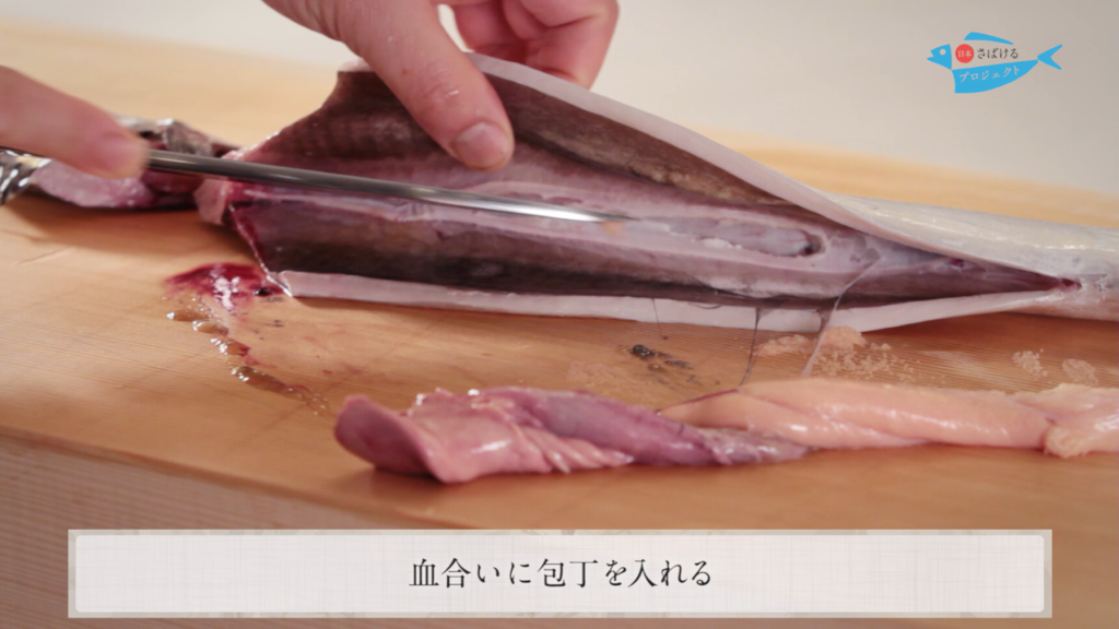 太刀魚 たちうお のさばき方 How To Filet Cutlassfish 日本さばけるプロジェクト 日本さばけるプロジェクト