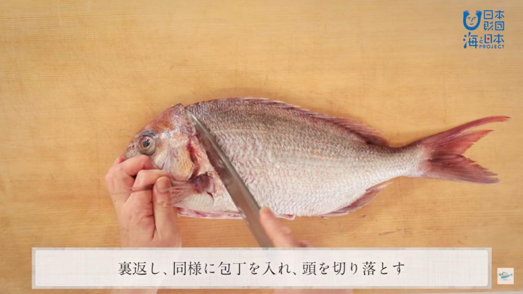 真鯛 まだい のさばき方 活け締め How To Filet Red Sea Bream Ver Ikejime 日本さばけるプロジェクト 日本さばけるプロジェクト