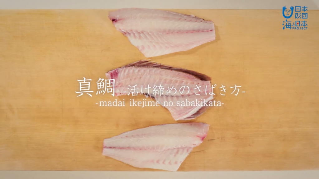 真鯛 まだい のさばき方 活け締め How To Filet Red Sea Bream Ver Ikejime 日本さばけるプロジェクト 日本さばけるプロジェクト