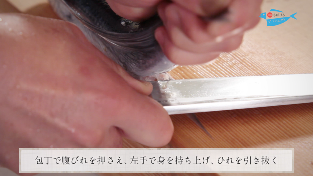 飛魚 とびうお のさばき方 How To Filet Flying Fish 日本さばけるプロジェクト 日本さばけるプロジェクト