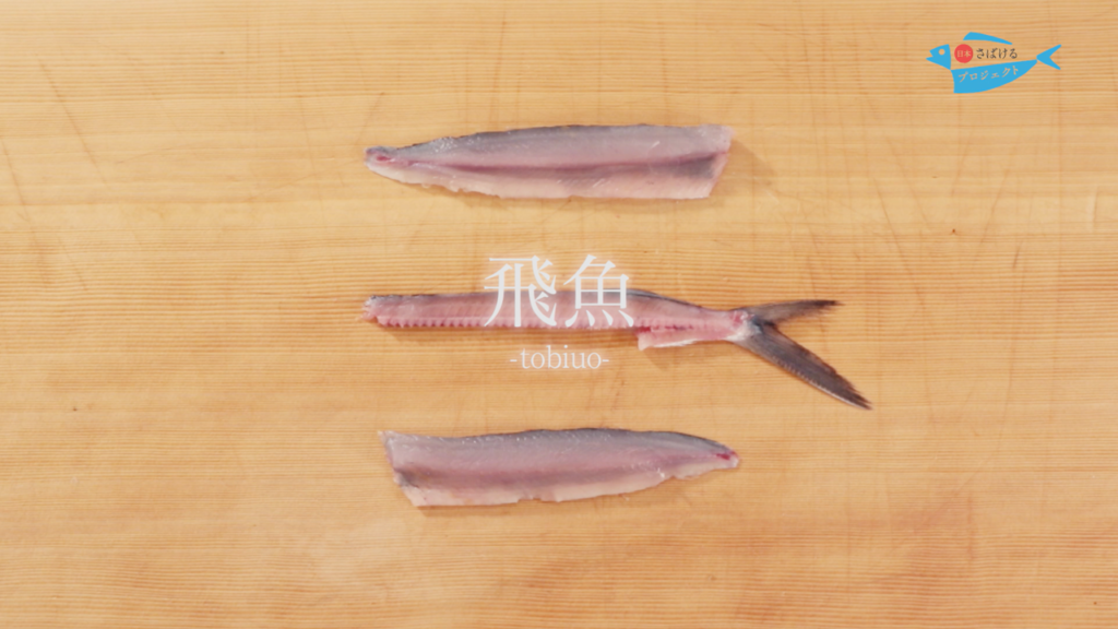 飛魚 とびうお のさばき方 How To Filet Flying Fish 日本さばけるプロジェクト 日本さばけるプロジェクト