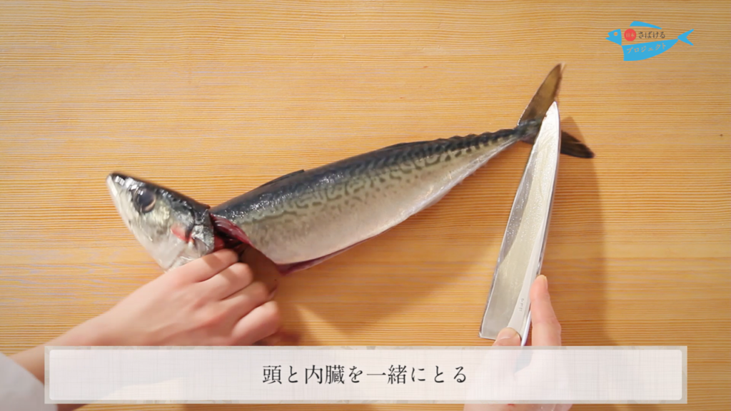 鯖 さば のさばき方 How To Filet Mackerel 日本さばけるプロジェクト 日本さばけるプロジェクト