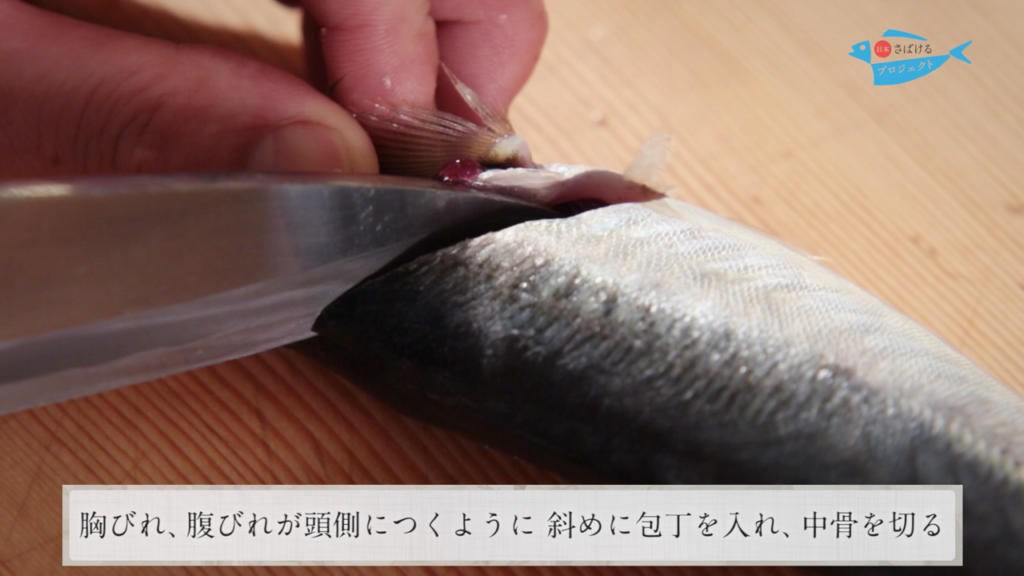 鯵 あじ のさばき方 フライ用 背開き How To Filet Horse Mackerel Ver Sebiraki For Deep Fry 日本さばけるプロジェクト 日本さばけるプロジェクト