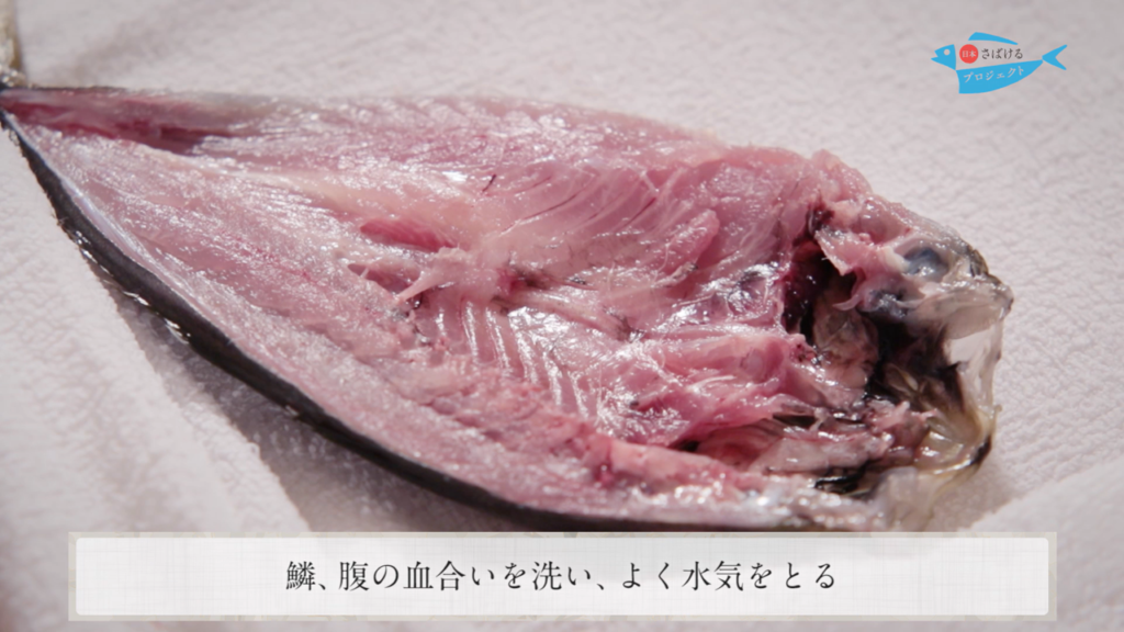 鯵 あじ のさばき方 干物用 背開き How To Filet Horse Mackerel Ver Sebiraki 日本さばけるプロジェクト 日本さばけるプロジェクト