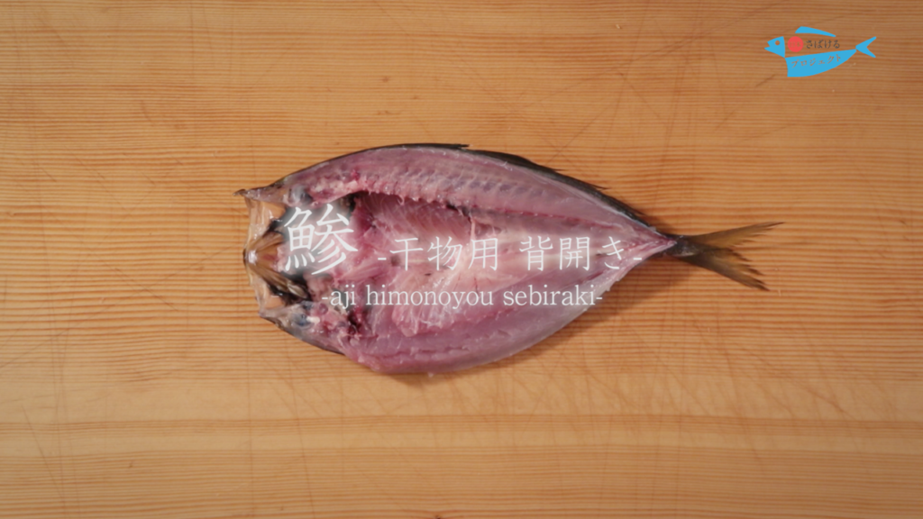 鯵 あじ のさばき方 干物用 背開き How To Filet Horse Mackerel Ver Sebiraki 日本さばけるプロジェクト 日本さばけるプロジェクト