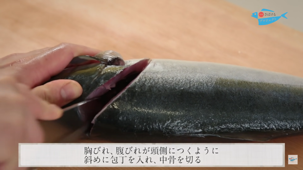 鰍 いなだ のさばき方 How To Filet Young Yellowtail 日本さばけるプロジェクト 日本さばけるプロジェクト