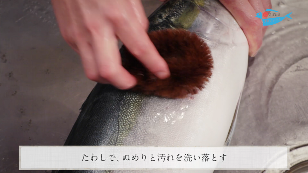 鰤 ぶり のさばき方 How To Filet Amberjack 日本さばけるプロジェクト 日本さばけるプロジェクト