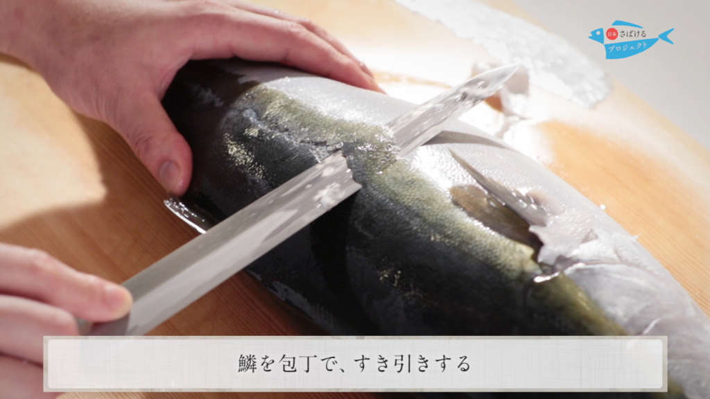 鰤 ぶり のさばき方 How To Filet Amberjack 日本さばけるプロジェクト 日本さばけるプロジェクト