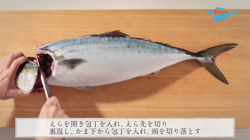 鰤 ぶり のさばき方 How To Filet Amberjack 日本さばけるプロジェクト 日本さばけるプロジェクト