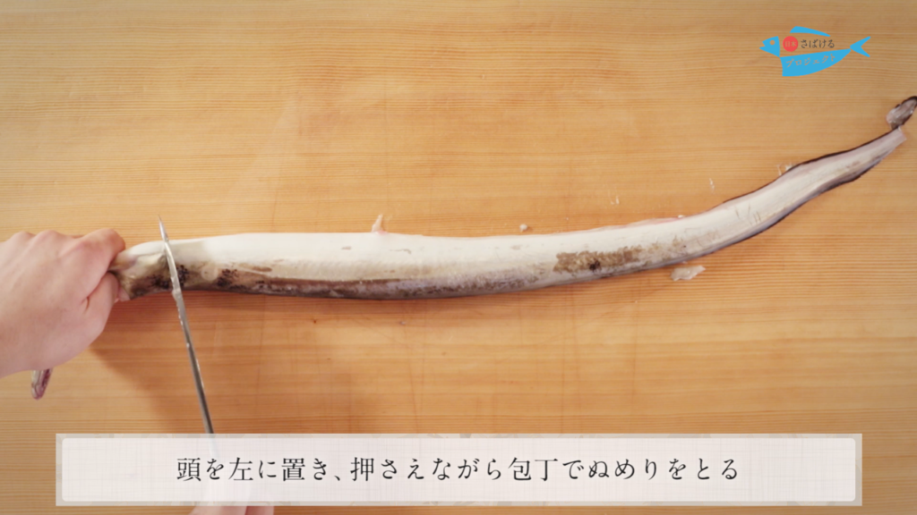 鱧 はも のさばき方 How To Filet Daggertooth Pike Conger 日本さばけるプロジェクト 日本さばけるプロジェクト