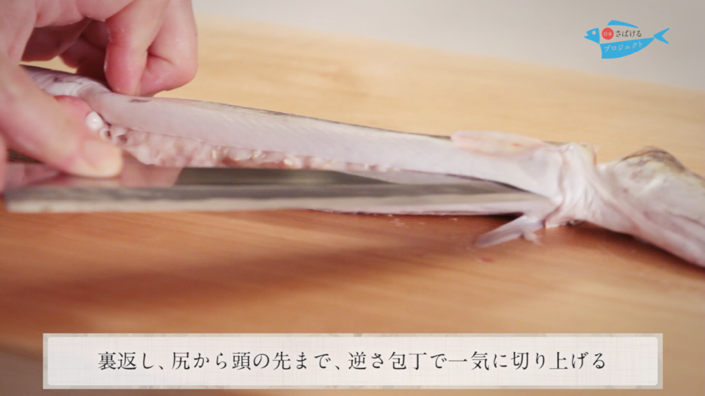 鱧 はも のさばき方 How To Filet Daggertooth Pike Conger 日本さばけるプロジェクト 日本さばけるプロジェクト