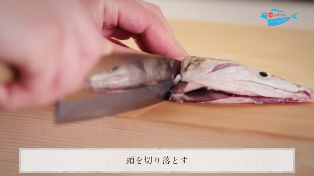 鱧 はも のさばき方 How To Filet Daggertooth Pike Conger 日本さばけるプロジェクト 日本さばけるプロジェクト 鱧 はも のさばき方 How To Filet Daggertooth Pike Conger 日本さばけるプロジェクト 日本さばけるプロジェクト