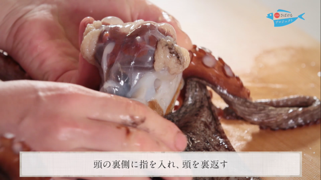 蛸 たこ のさばき方 How To Filet Octopus 日本さばけるプロジェクト 日本さばけるプロジェクト