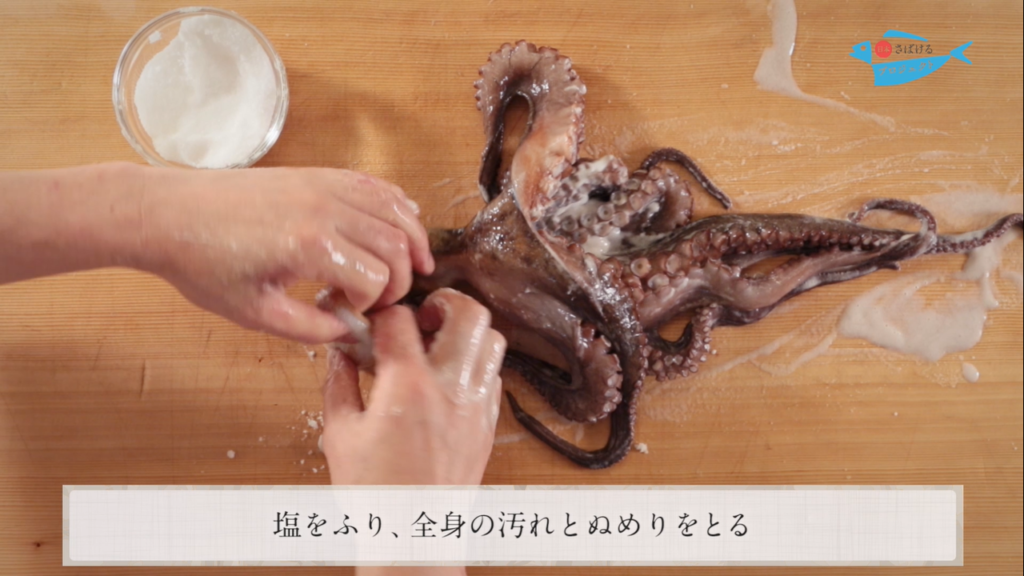 蛸 たこ のさばき方 How To Filet Octopus 日本さばけるプロジェクト 日本さばけるプロジェクト