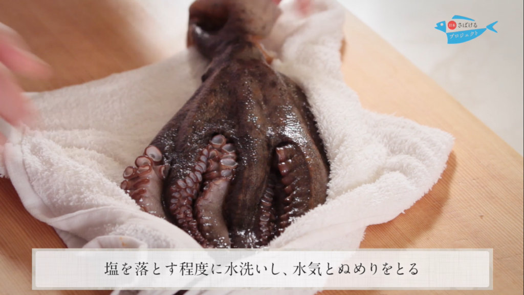 蛸 たこ のさばき方 How To Filet Octopus 日本さばけるプロジェクト 日本さばけるプロジェクト