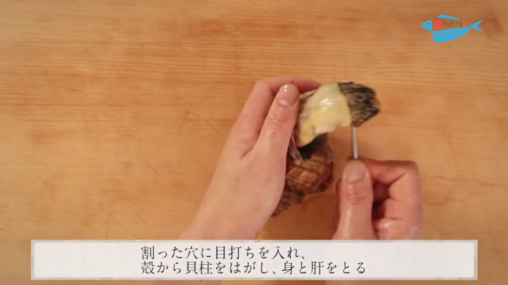 螺貝 つぶがい のさばき方 How To Filet Whelk 日本さばけるプロジェクト 日本さばけるプロジェクト